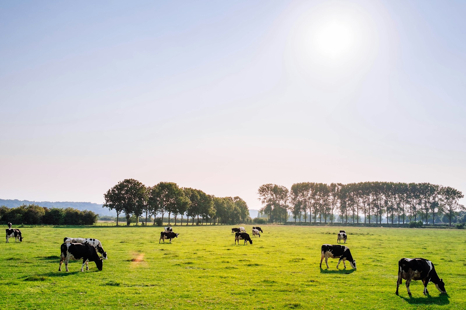 l'agrivoltaisme